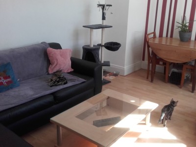 IMMEUBLE DE RAPPORT A VENDRE - HAUBOURDIN - 245 m2 - 430000€