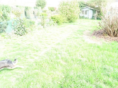 MAISON - HALLENNES LEZ HAUBOURDIN - 120 m2 - VENDU